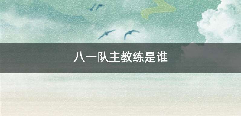 八一队主教练是谁