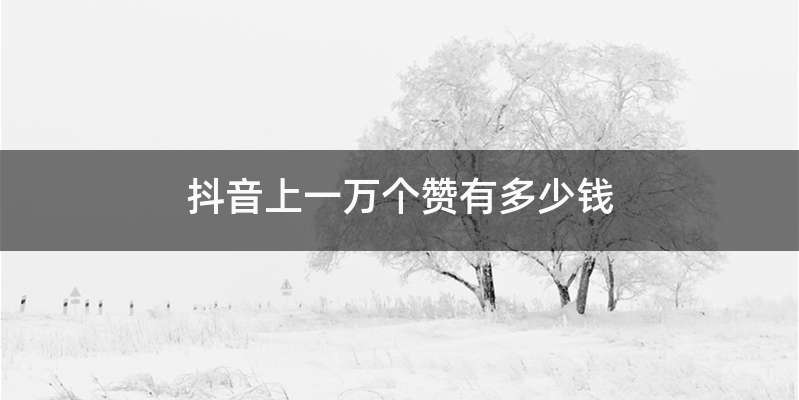 抖音上一万个赞有多少钱