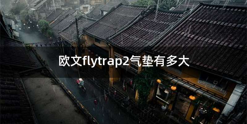 欧文flytrap2气垫有多大
