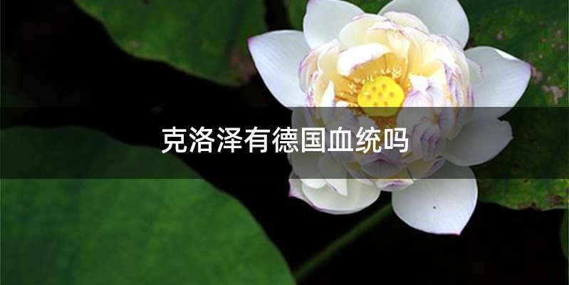 克洛泽有德国血统吗