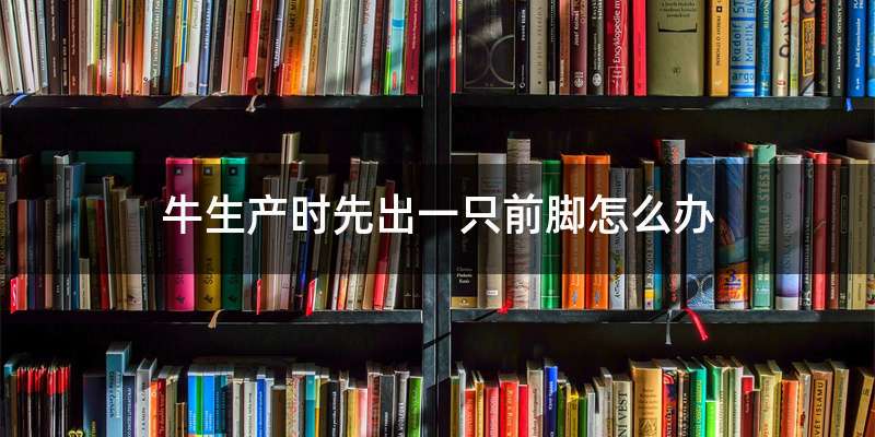 牛生产时先出一只前脚怎么办