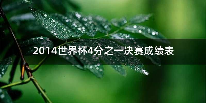 2014世界杯4分之一决赛成绩表