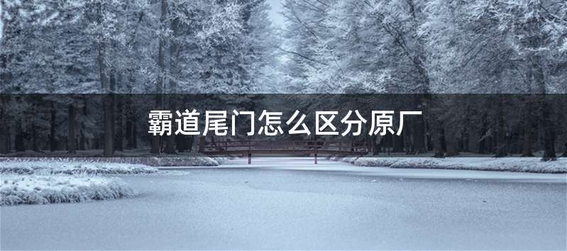 霸道尾门怎么区分原厂