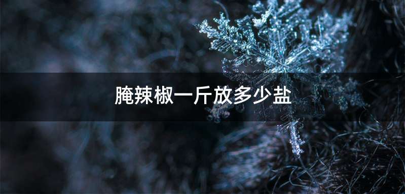 腌辣椒一斤放多少盐