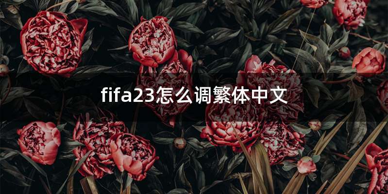 fifa23怎么调繁体中文
