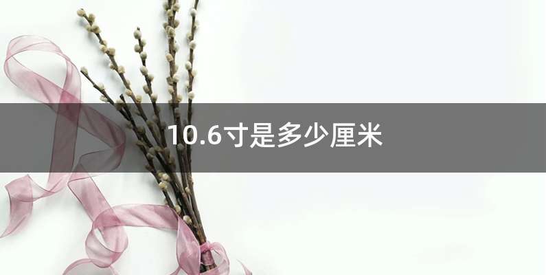 10.6寸是多少厘米