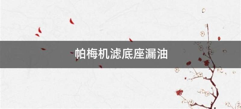 帕梅机滤底座漏油