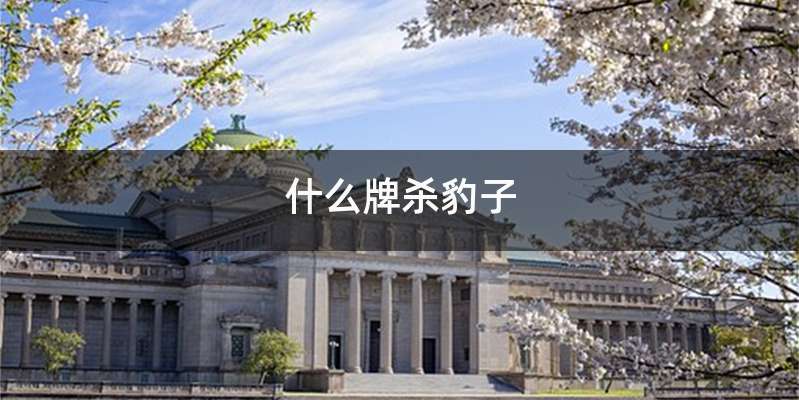 什么牌杀豹子
