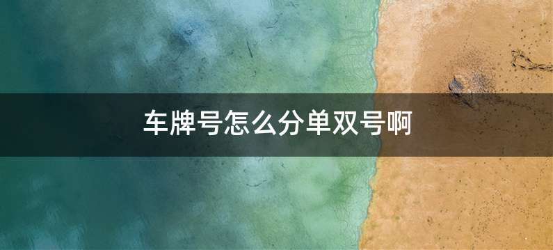 车牌号怎么分单双号啊