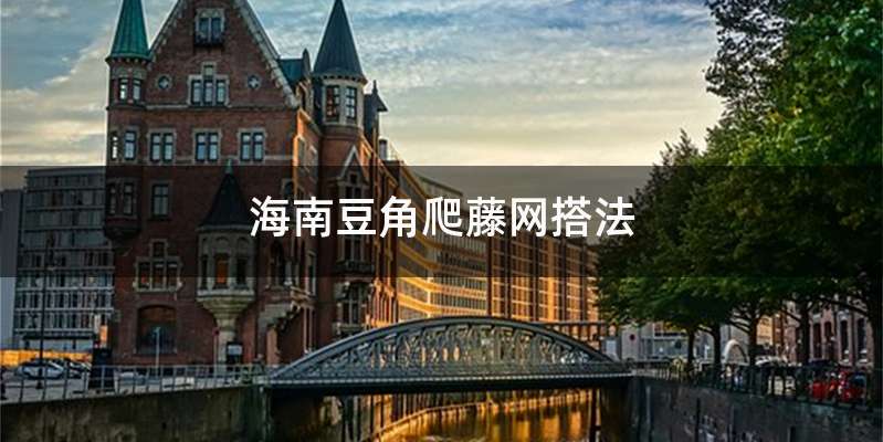 海南豆角爬藤网搭法