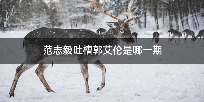 范志毅吐槽郭艾伦是哪一期