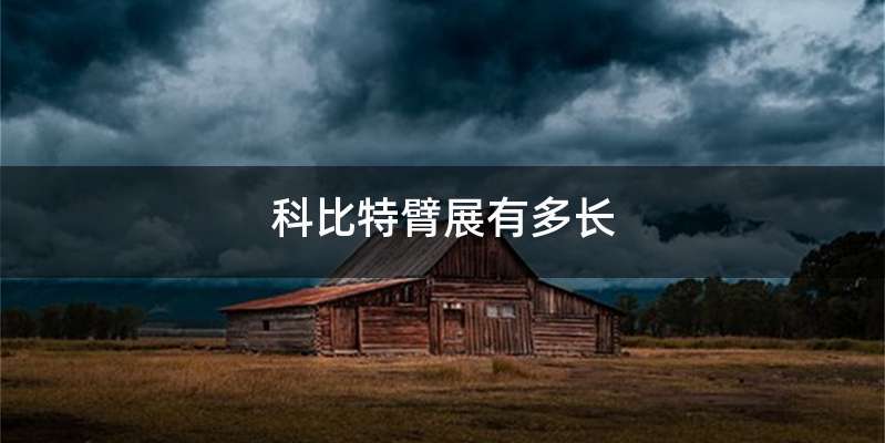 科比特臂展有多长