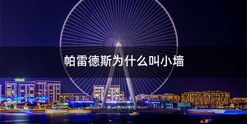 帕雷德斯为什么叫小墙