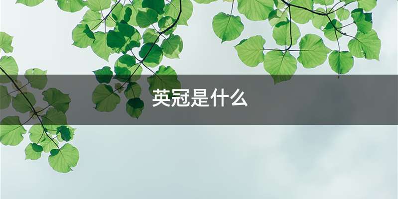 英冠是什么