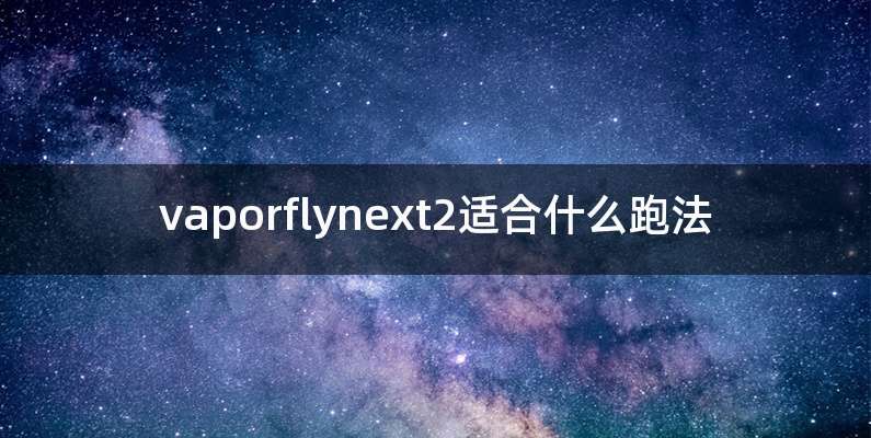 vaporflynext2适合什么跑法