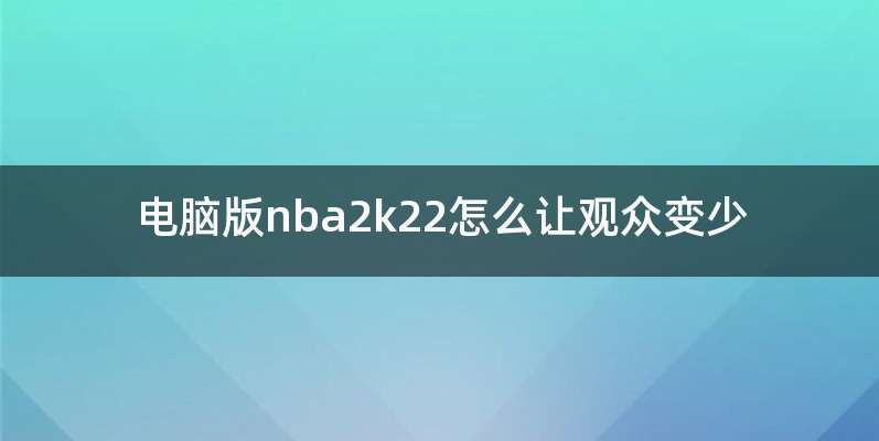电脑版nba2k22怎么让观众变少