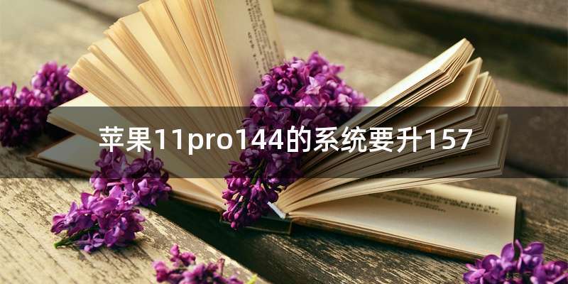 苹果11pro144的系统要升157