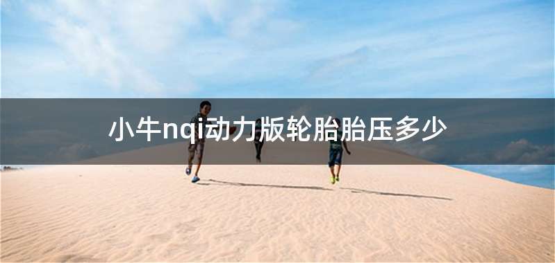 小牛nqi动力版轮胎胎压多少