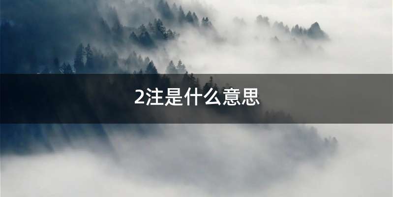 2注是什么意思