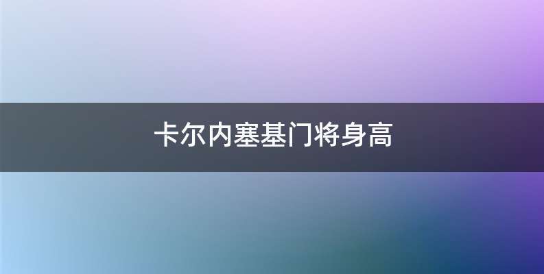 卡尔内塞基门将身高