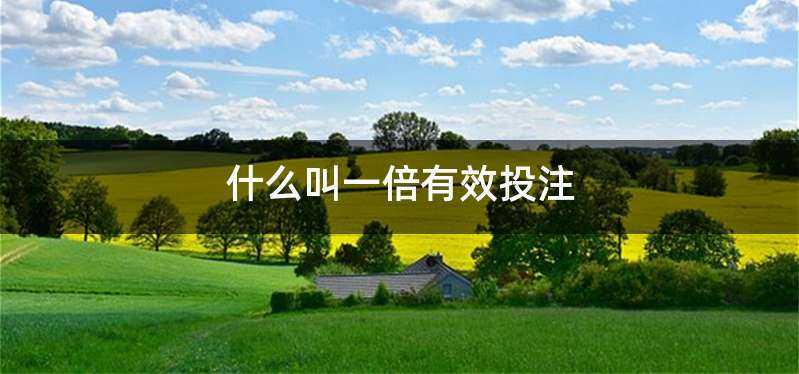 什么叫一倍有效投注