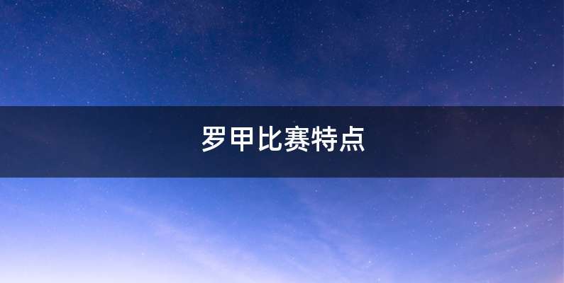 罗甲比赛特点