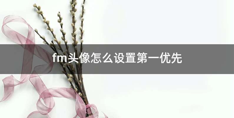 fm头像怎么设置第一优先