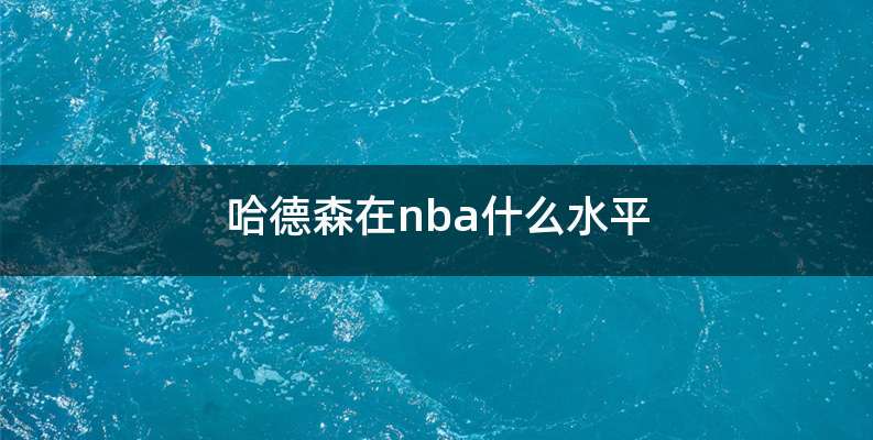 哈德森在nba什么水平