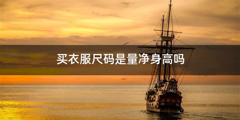 买衣服尺码是量净身高吗
