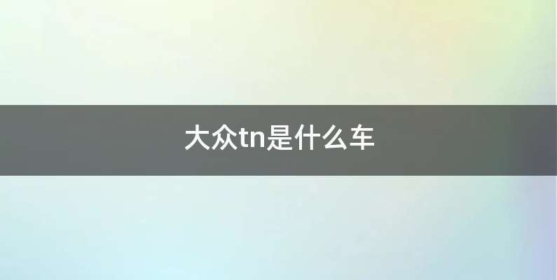大众tn是什么车