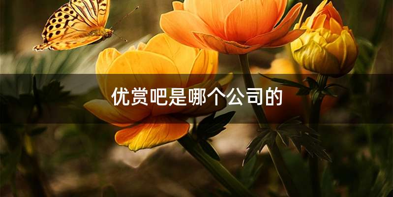 优赏吧是哪个公司的
