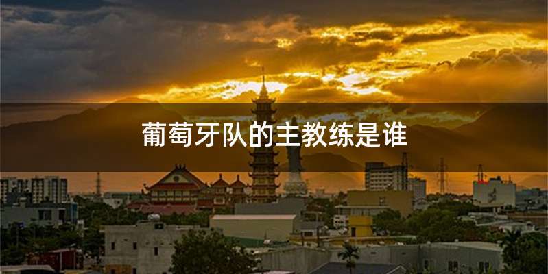 葡萄牙队的主教练是谁