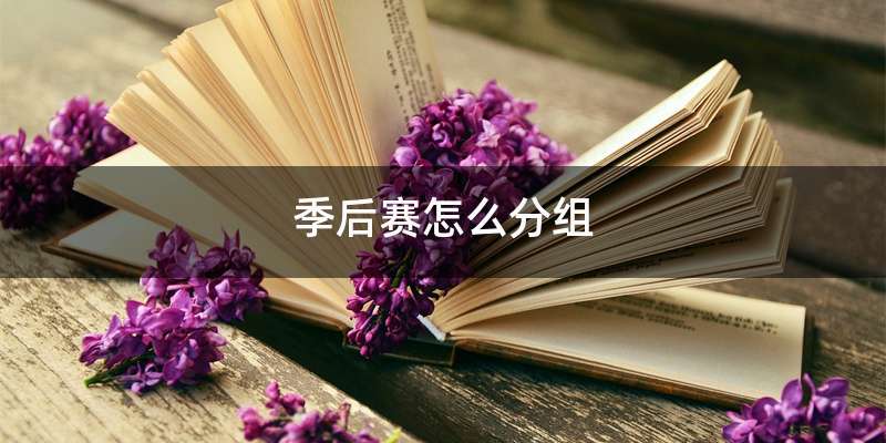 季后赛怎么分组
