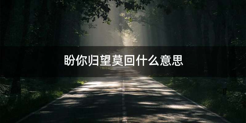 盼你归望莫回什么意思