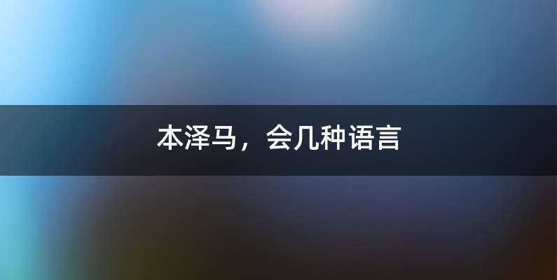 本泽马，会几种语言