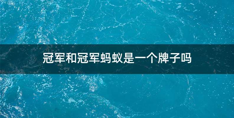 冠军和冠军蚂蚁是一个牌子吗