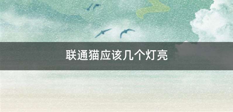 联通猫应该几个灯亮