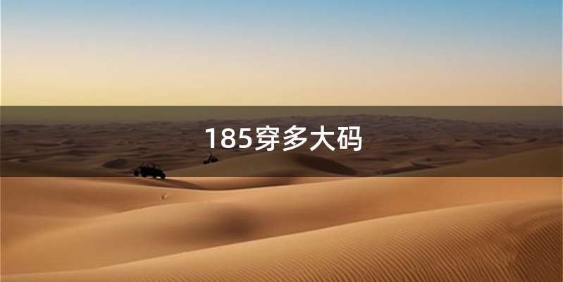 185穿多大码