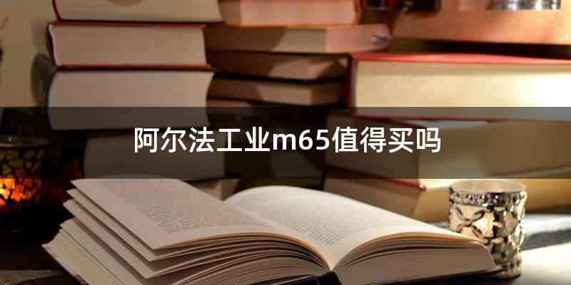 阿尔法工业m65值得买吗