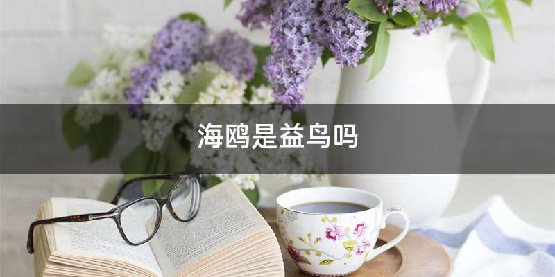 海鸥是益鸟吗