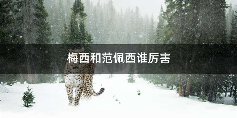 梅西和范佩西谁厉害