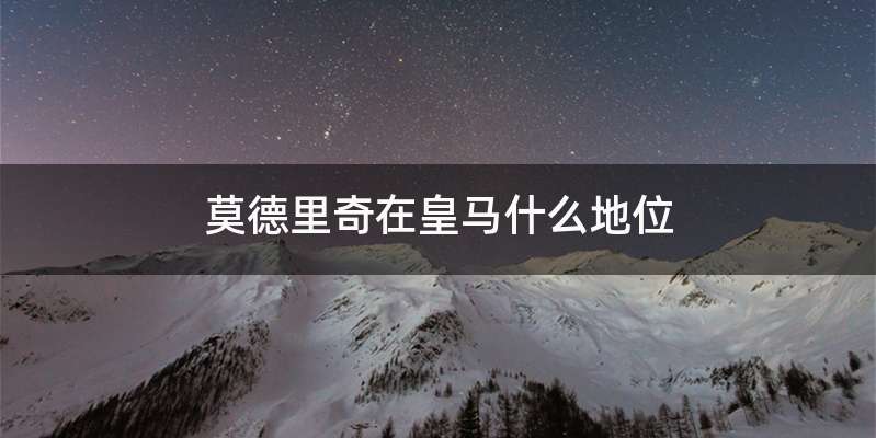 莫德里奇在皇马什么地位