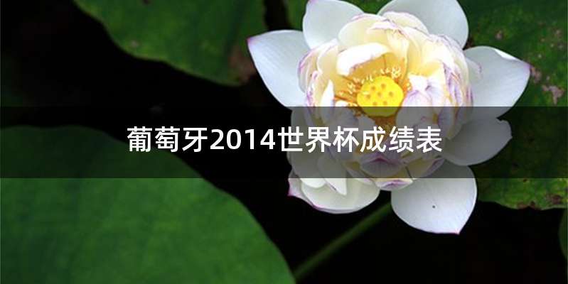 葡萄牙2014世界杯成绩表