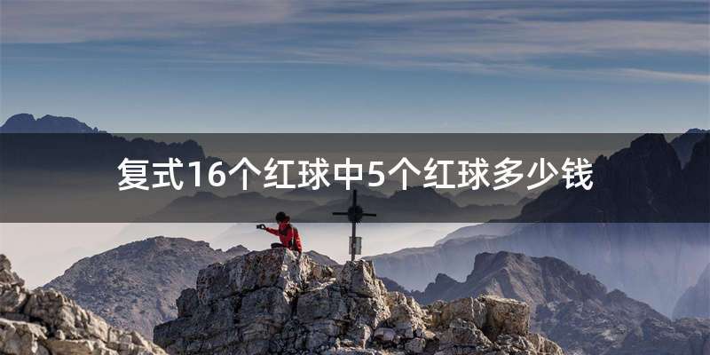 复式16个红球中5个红球多少钱