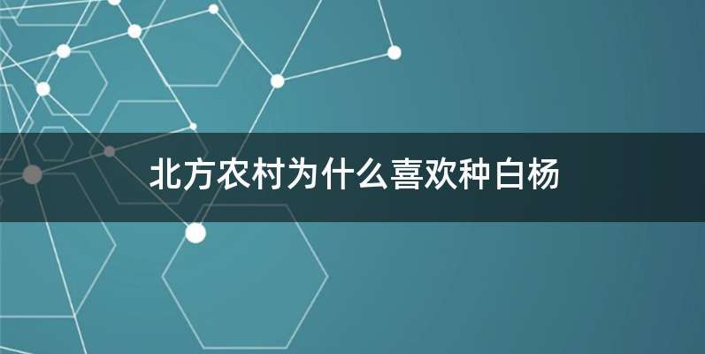 北方农村为什么喜欢种白杨