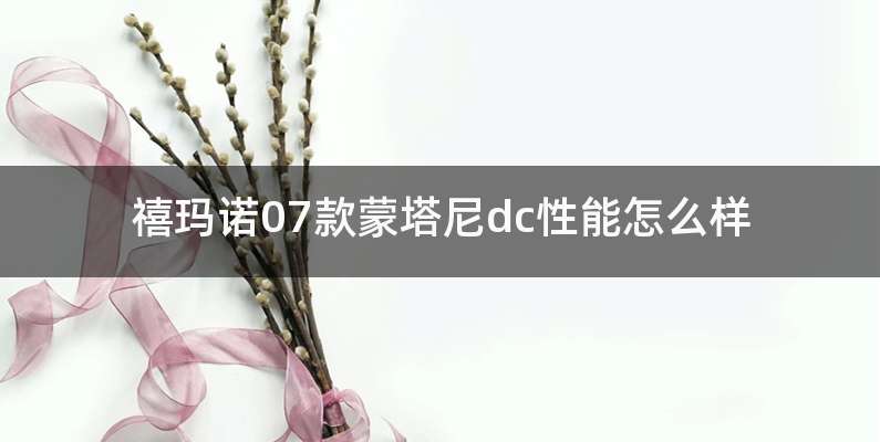 禧玛诺07款蒙塔尼dc性能怎么样