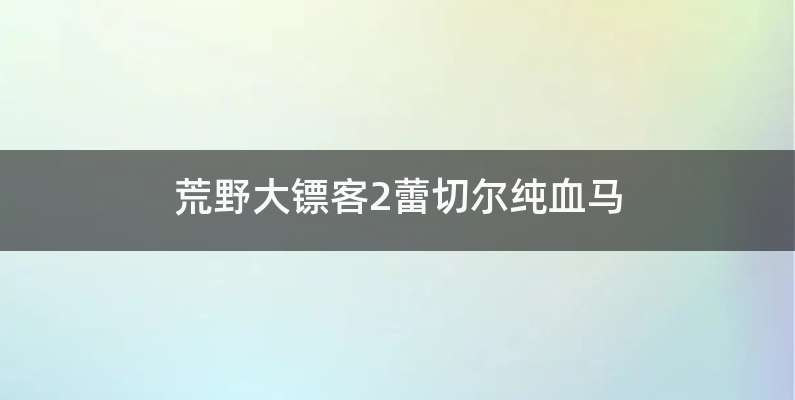 荒野大镖客2蕾切尔纯血马