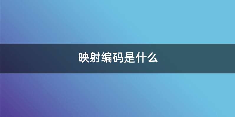 映射编码是什么