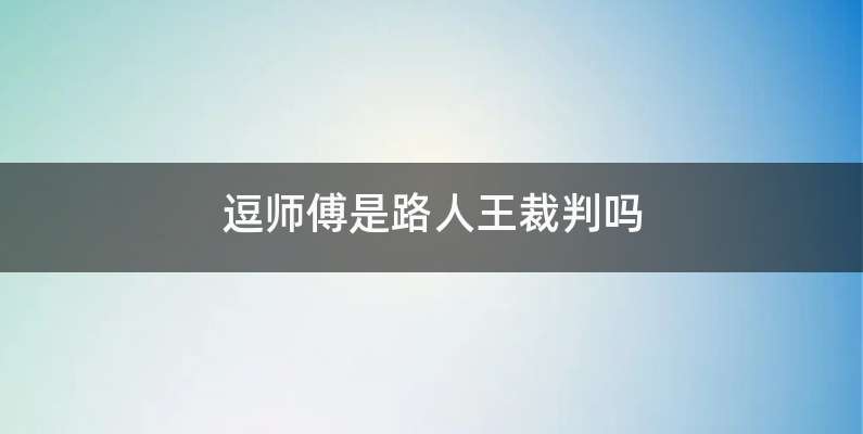 逗师傅是路人王裁判吗