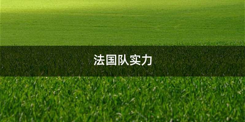 法国队实力